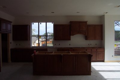 Kitchen cabinets and island