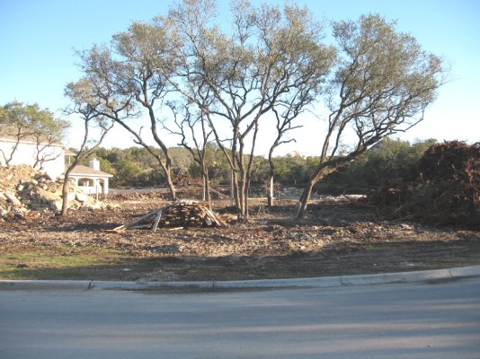 The lot cleared of cedars